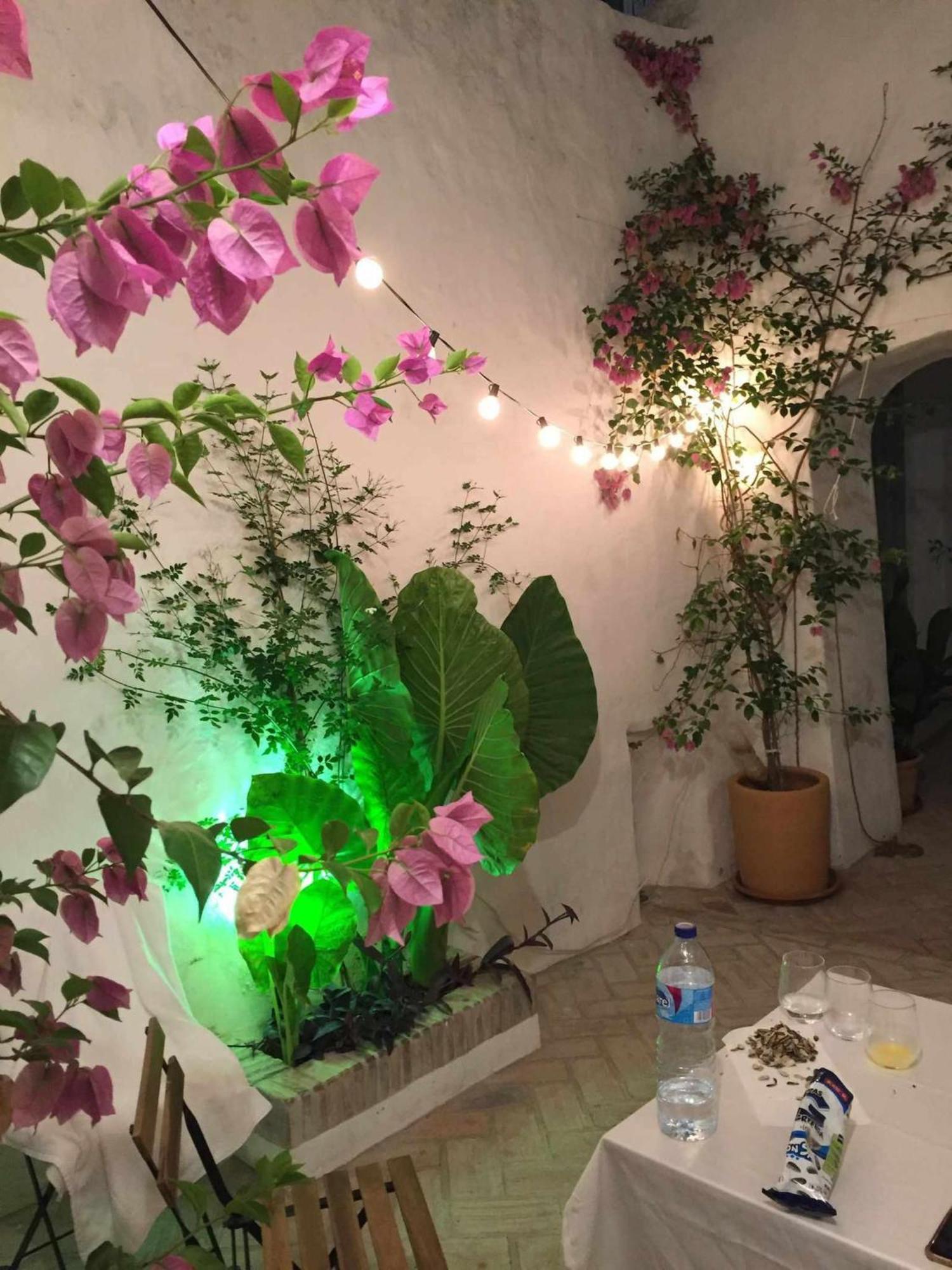 Antiqua Centro De Vejer Con Wifi Grupo Ac Gestion Villa Vejer de la Frontera Exteriör bild
